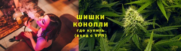 сатива Бородино