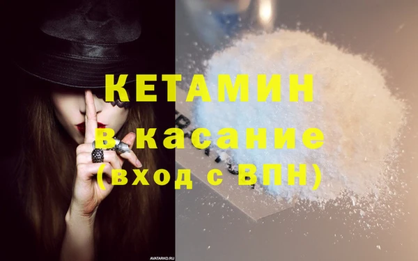 сатива Бородино