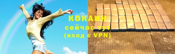 индика Бугульма