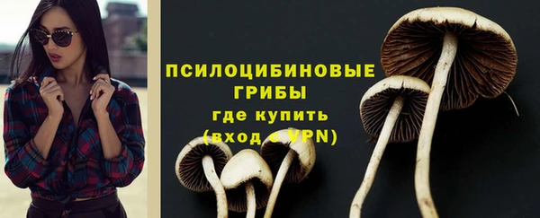 сатива Бородино