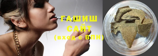 индика Бугульма