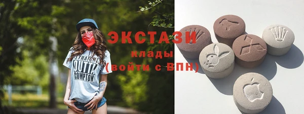 сатива Бородино