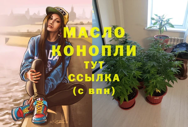 индика Бугульма