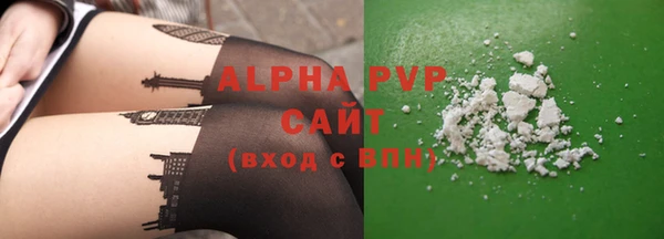 индика Бугульма