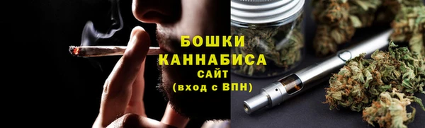 сатива Бородино