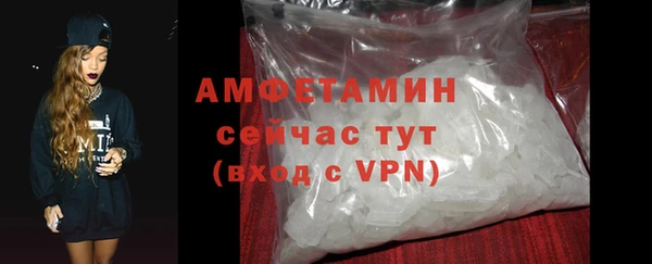 сатива Бородино