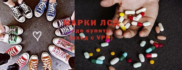 индика Бугульма