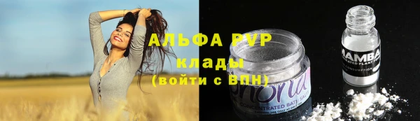 сатива Бородино