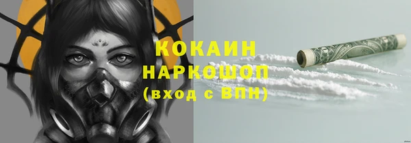 твердый Богородицк
