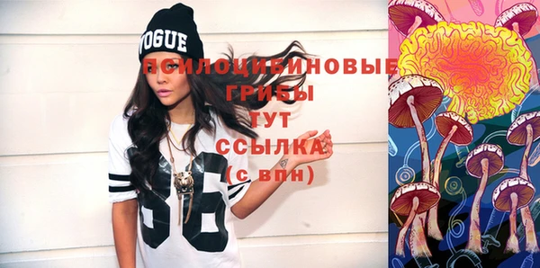 ГАЛЛЮЦИНОГЕННЫЕ ГРИБЫ Бронницы