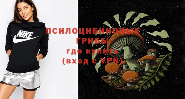 ГАЛЛЮЦИНОГЕННЫЕ ГРИБЫ Бронницы
