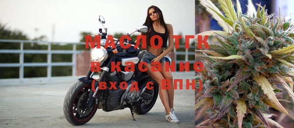 индика Бугульма