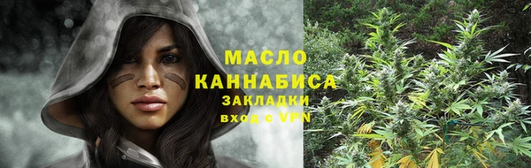 индика Бугульма