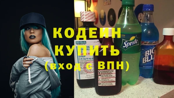 сатива Бородино
