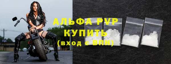 индика Бугульма