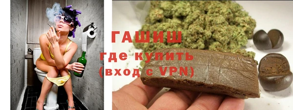 сатива Бородино